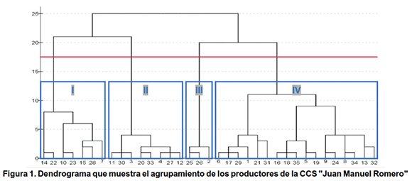 Figura 1. Dendrograma que muestra el agrupamiento de los productores de la CCS "Juan Manuel Romero" 