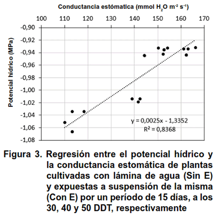 Figura 3. Regresión entre el potencial hídrico y la conductancia estomática de plantas cultivadas con lámina de agua (Sin E) y expuestas a suspensión de la misma (Con E) por un período de 15 días, a los 30, 40 y 50 DDT, respectivamente