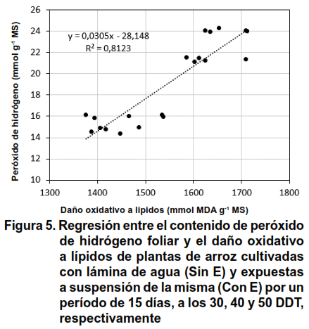 Figura 5. Regresión entre el contenido de peróxido de hidrógeno foliar y el daño oxidativo a lípidos de plantas de arroz cultivadas con lámina de agua (Sin E) y expuestas a suspensión de la misma (Con E) por un período de 15 días, a los 30, 40 y 50 DDT, respectivamente