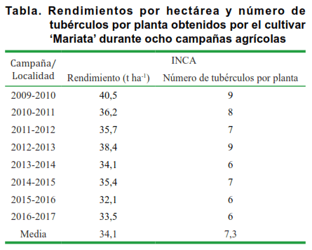 Tabla. Rendimientos por hectárea y número de tubérculos por planta obtenidos por el cultivar ‘Mariata’ durante ocho campañas agrícolas