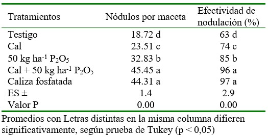Efectos de la cal, la fertilización fosfórica y la caliza fosfatada en el comportamiento de la nodulación en siratro