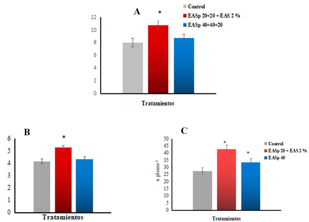 Efecto de tres aspersiones foliares con extractos de algas en el comportamiento del número de legumbres (A), el número de granos por legumbre (B) y el número de granos por planta (C) en frijoles, línea C-8