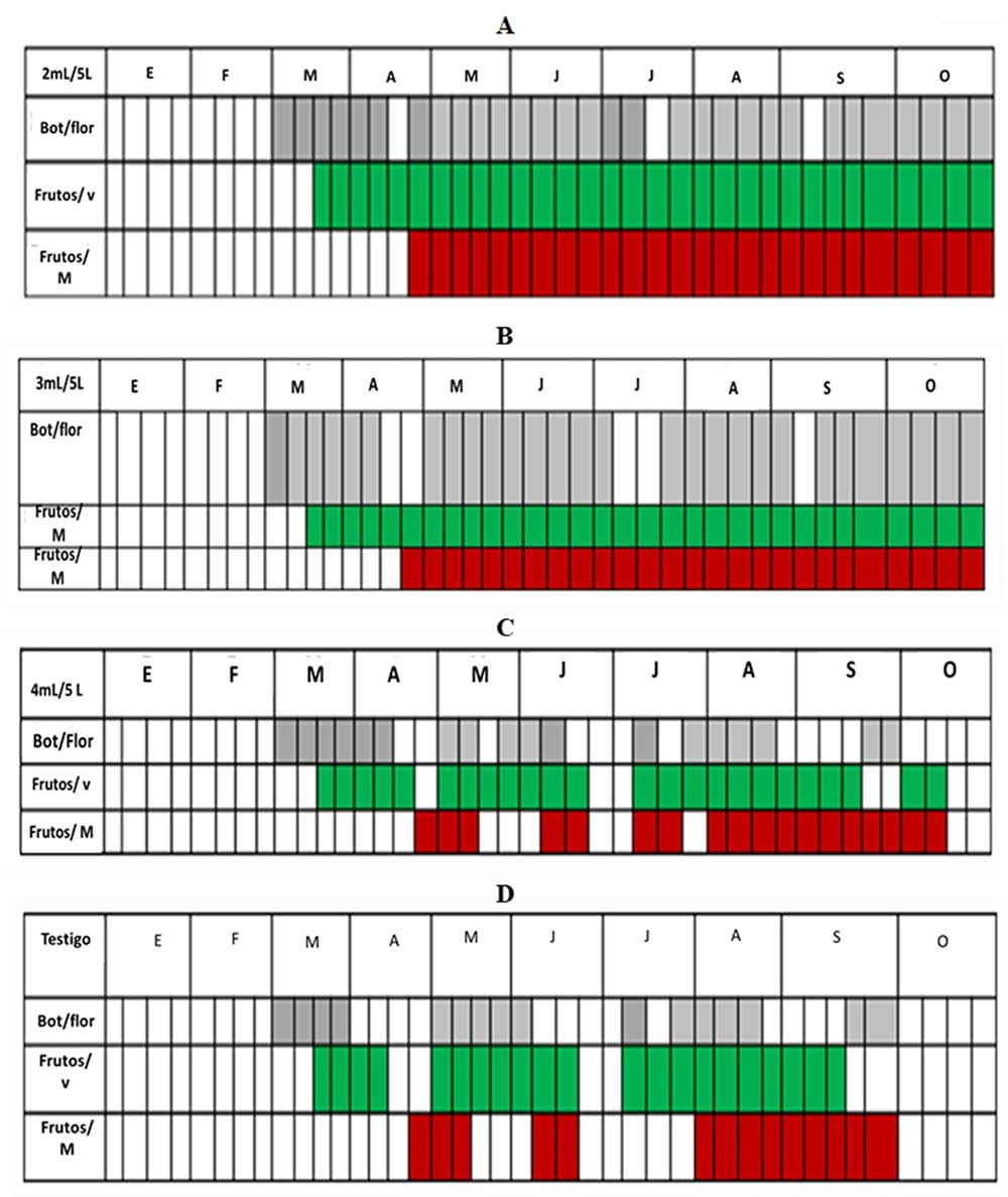 Resultados del estudio fenológico. (A) 2mL en 5L de agua, (B), 3 mL en 5L de agua, (C) 4mL en 5L de agua (D) Testigo